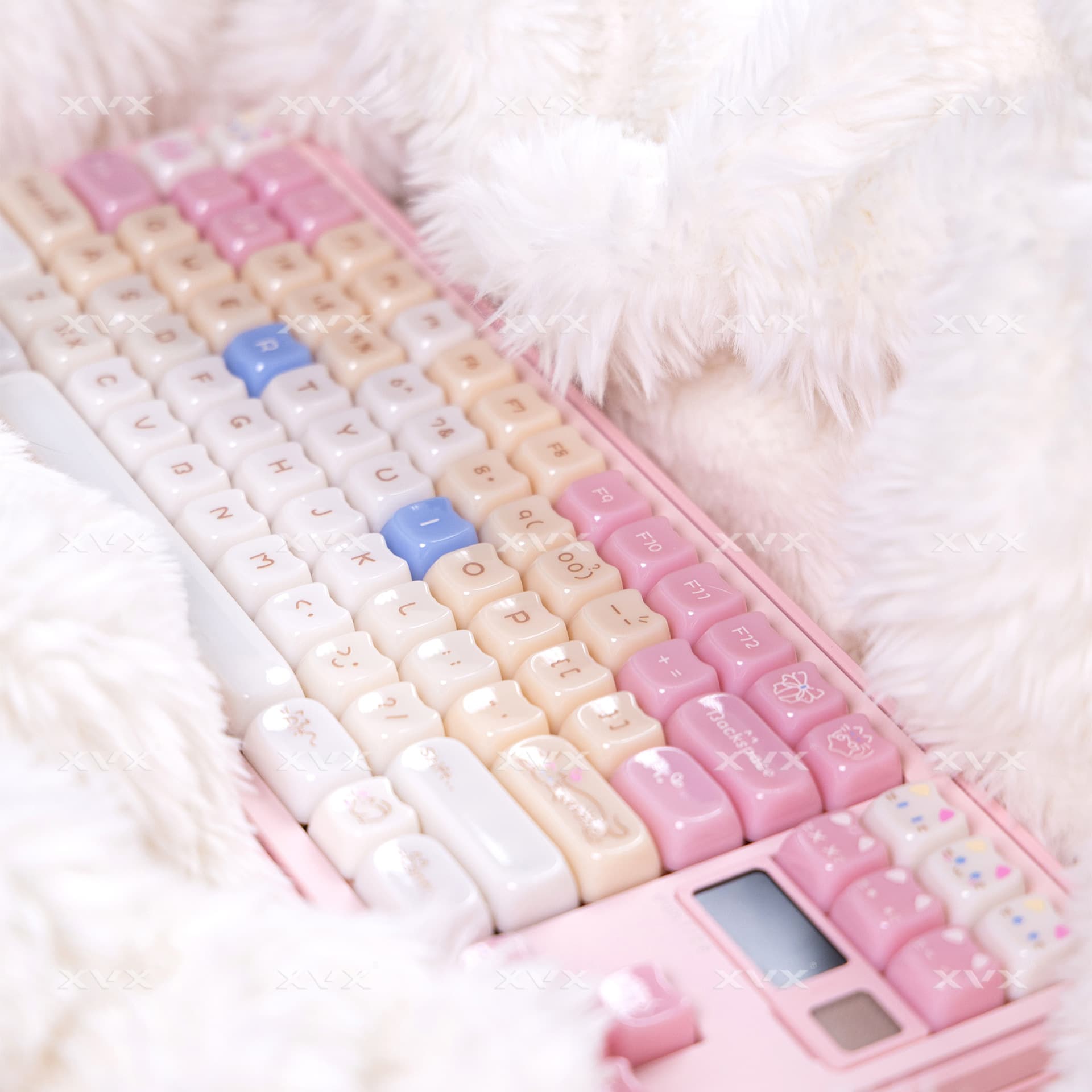 Ragdoll Cat Cute Light-colored Keyboard Caps