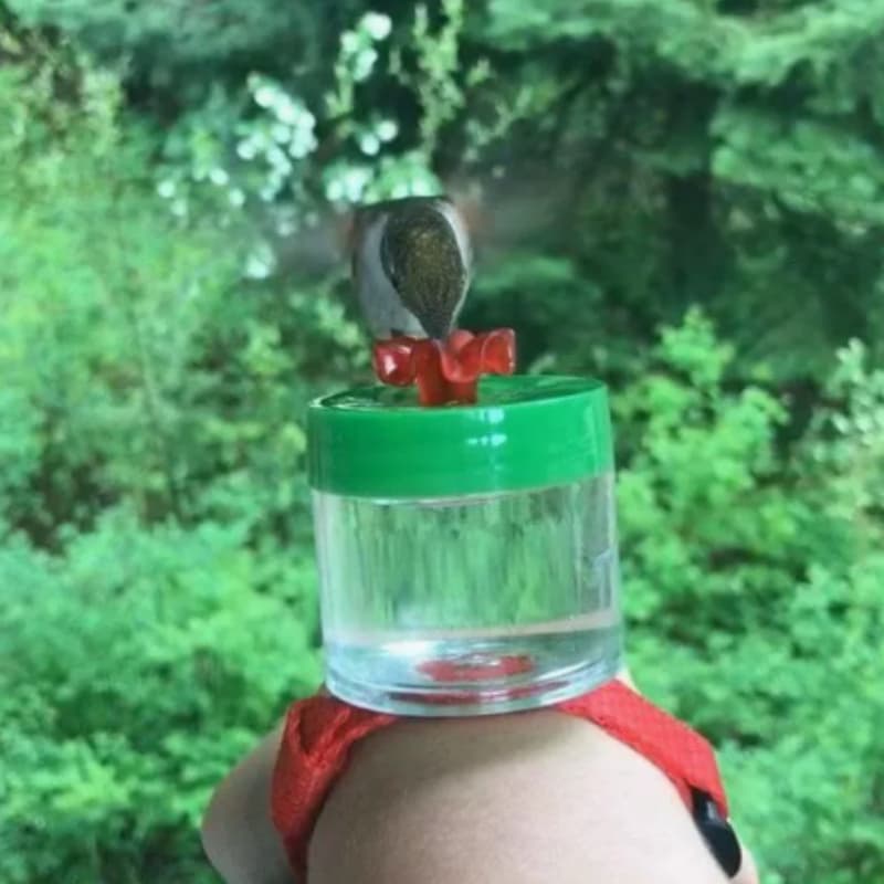 Ring And Wrist Hummingbird Feeder